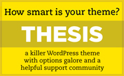 Wordpress Thesis Theme - The Best Theme Available Today